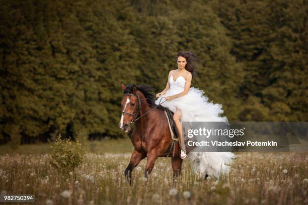 bride riding on horse in wedding dress - runaway stock pictures, royalty-free photos & images
