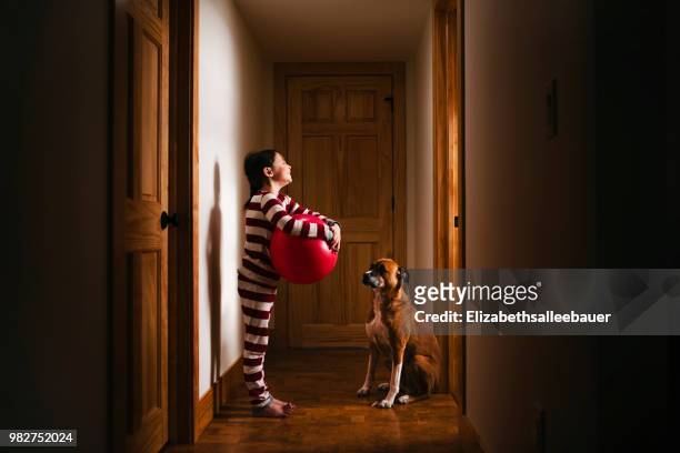 girl standing in the hallway holding a giant ball playing with her dog - 5 years stock pictures, royalty-free photos & images