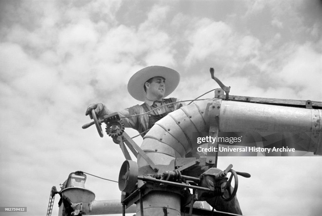 Clover Farmer on Seed Threshing Machine, St. Charles Parish, Louisiana, June 1936