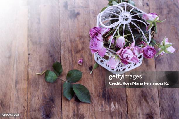 directly above of pompon in white birdcage on rustic old wooden background. selective focus an copy space - rz fotografías e imágenes de stock