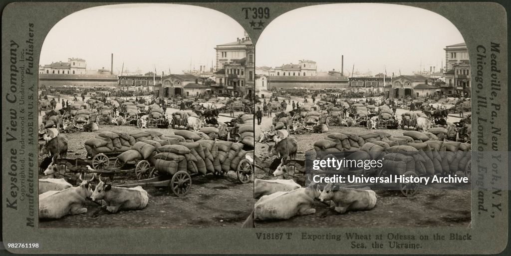 Exporting Wheat at Odessa on the Black Sea, the Ukraine, Stereo Card, Keystone View Company, early 1900's