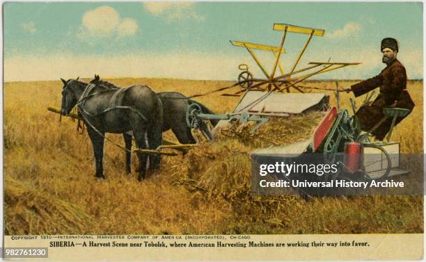 Harvest Scene near Tobolsk, where American Harvesting Machines are Working their way into Favor, International Harvester Company of America,...