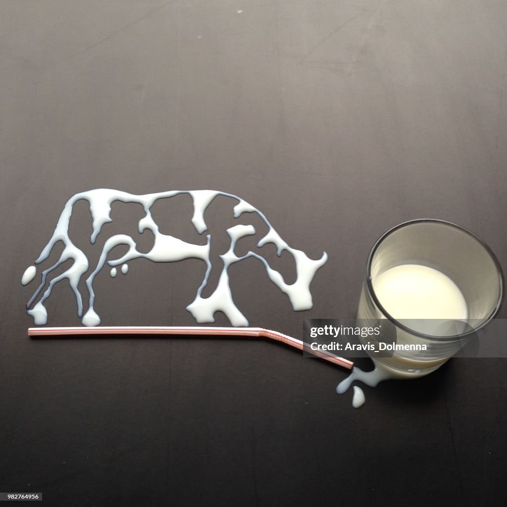 Conceptual cow made from milk