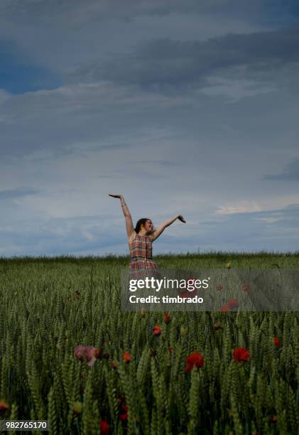 woman standing in a wheat and poppy field with her arms in the air, niort, nouvelle-aquitaine, france - stehmohn stock-fotos und bilder