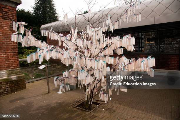 Prayers for peace hang on a tree at the Peace Palace, The Hague; The Netherlands.