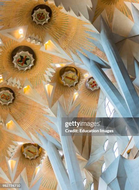 52 Sagrada Familia Ceiling Stock Photos, High-Res Pictures, and Images ...
