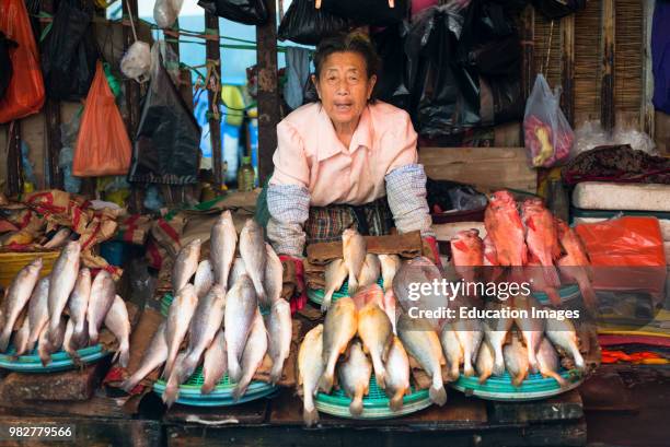 Fish for sale at Jagalchi fish market, Busan, South Korea.