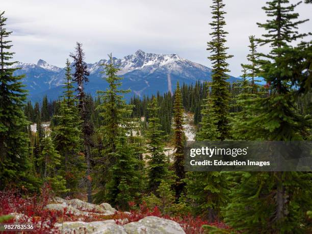 View from the top of Mount Revelstoke. British Columbia. Canada.