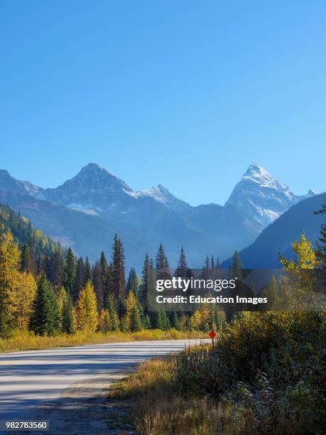 Fall colors along the Trans-Canada Highway near Golden. British Columbia. Canada.