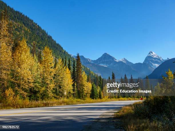 Fall colors along the Trans-Canada Highway near Golden. British Columbia. Canada.
