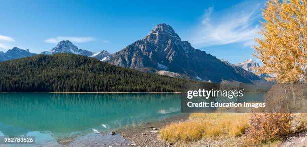 Mount Chephren and Waterfowl Lake scenery Ice field Parkway, Highway, Alberta. Canada.