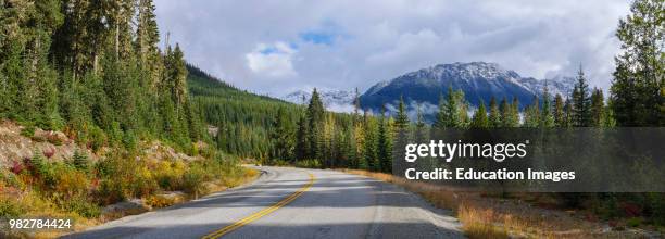 Roadside scenery showing Fall Colors. Near Pemberton. British Columbia. Canada.