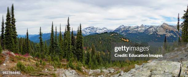 View from the top of Mount Revelstoke. British Columbia. Canada.