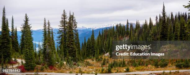 View from the top of Mount Revelstoke. British Columbia. Canada.