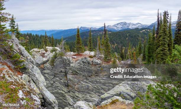 View from the top of Mount Revelstoke. British Columbia. Canada.