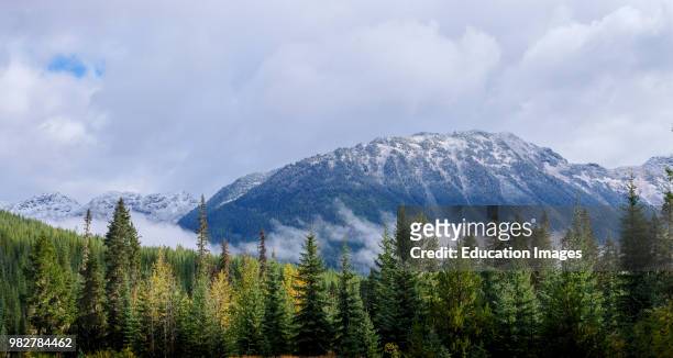 Scenery showing Fall Colors. Near Pemberton. British Columbia. Canada.