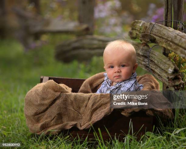 baby boy (12-23 months) sitting in box - 12 23 months stock pictures, royalty-free photos & images