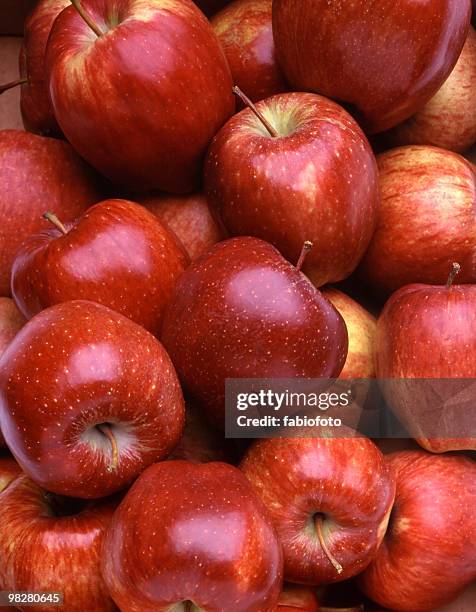 red apples - apple bildbanksfoton och bilder