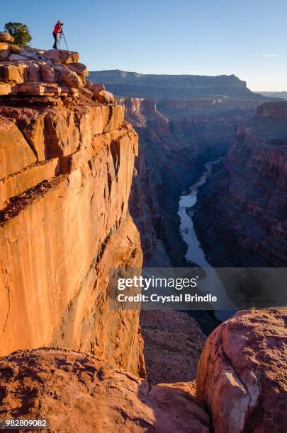 photographer at the tope of a canyon. - brindle stock pictures, royalty-free photos & images