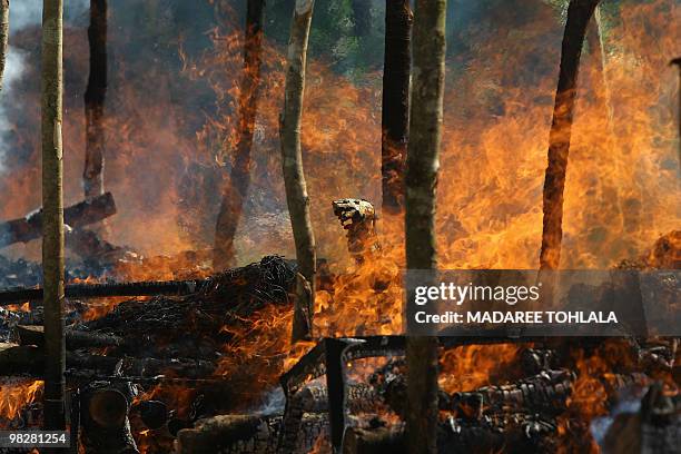 The six victims of the latest attacks by Muslim separatists are burnt during a cremation ceremony in Thailand's restive southern province of...