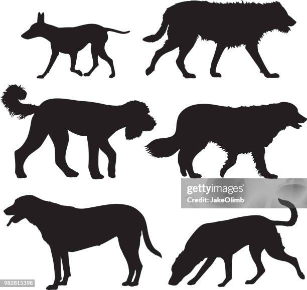 stockillustraties, clipart, cartoons en iconen met hond silhouetten 6 - golden retriever