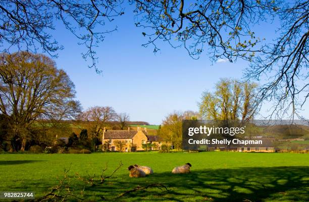 tranquil rural scene, northamptonshire - northamptonshire imagens e fotografias de stock