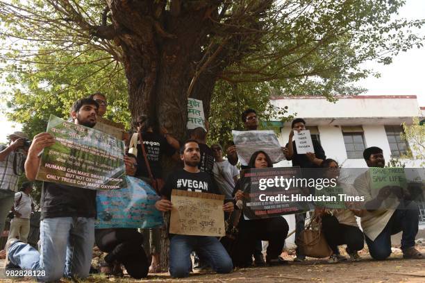 Protect Trees Rally Tree Cutting Sign Photos and Premium High Res Pictures - Getty Images