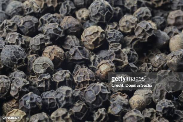 full frame of black peppercorns (piper nigrum) - spice store stock pictures, royalty-free photos & images