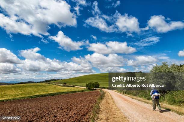 way of st. james between green fields, spain - camino de santiago stock-fotos und bilder