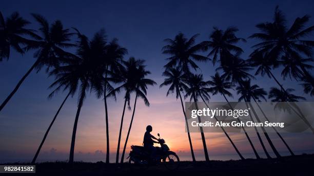 silhouette of palm trees and motorbike against moody sky, terengganu, malaysia - terengganu stockfoto's en -beelden