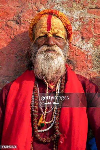 porträt von sadhu, heiliger mann, kathmandu, nepal - pashupatinath stock-fotos und bilder