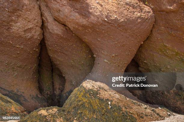 hopewell rocks, new brunswick - bay of fundy stockfoto's en -beelden