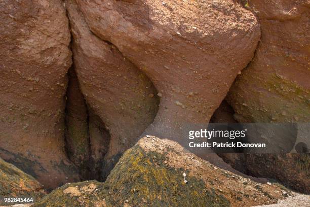hopewell rocks, new brunswick - bay of fundy stock pictures, royalty-free photos & images