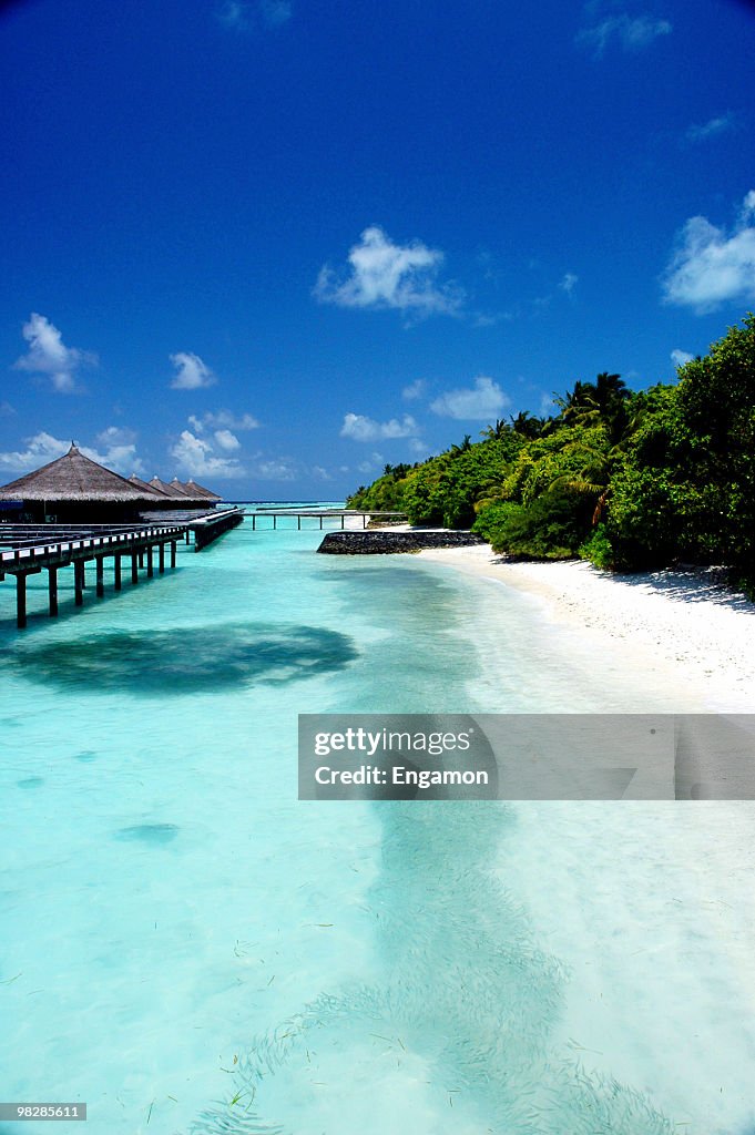 Bungalows sur pilotis dans un paradis tropical