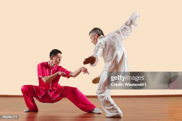kung fu, tanglangquan, duilian, praying mantis style, two men doing kung-fu moves - kung fu fotografías e imágenes de stock