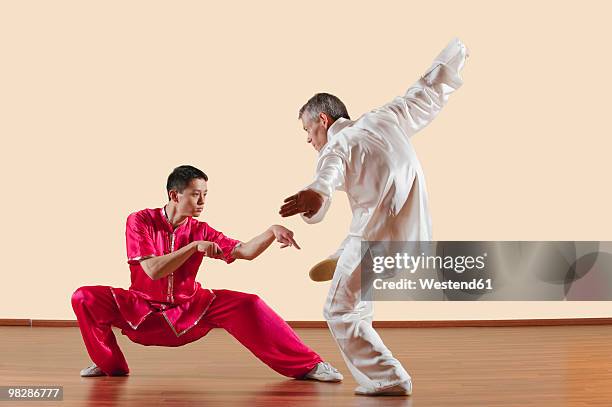 kung fu, tanglangquan, duilian, praying mantis style, two men doing kung-fu moves - kung fu foto e immagini stock