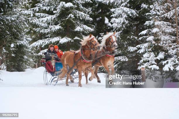 austria, salzburger land, couple riding in sleigh - pferdeantrieb stock-fotos und bilder