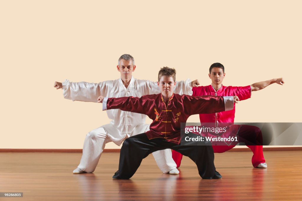 Kung Fu, Changquan, Mabu shuang chongquan, Long Fist Style, Persons practicing martial arts