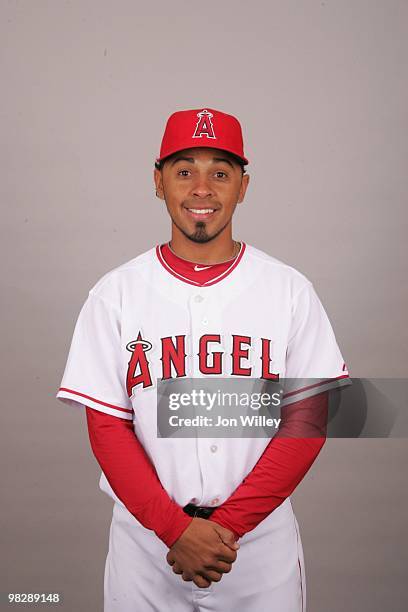 Maicer Izturis of the Los Angeles Angels of Anaheim poses during Photo Day on Thursday, February 25, 2010 at Tempe Diablo Stadium in Tempe, Arizona.