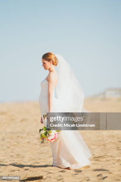 soft winds - bride walking stock pictures, royalty-free photos & images