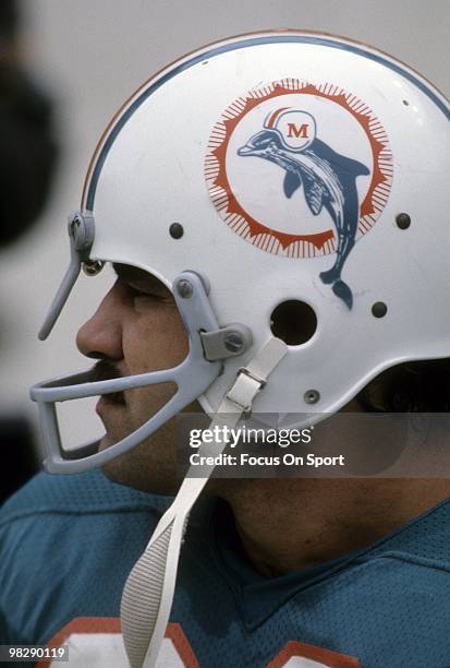 S: Running back Larry Csonka of the Miami Dolphins watches the action from the bench circa mid 1970's during an NFL football game at the Orange Bowl...