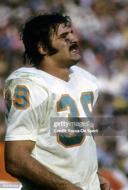 Running back Larry Csonka of the Miami Dolphins watches the action from the sidelines circa mid 1970's during an NFL football game. Csonka played for...
