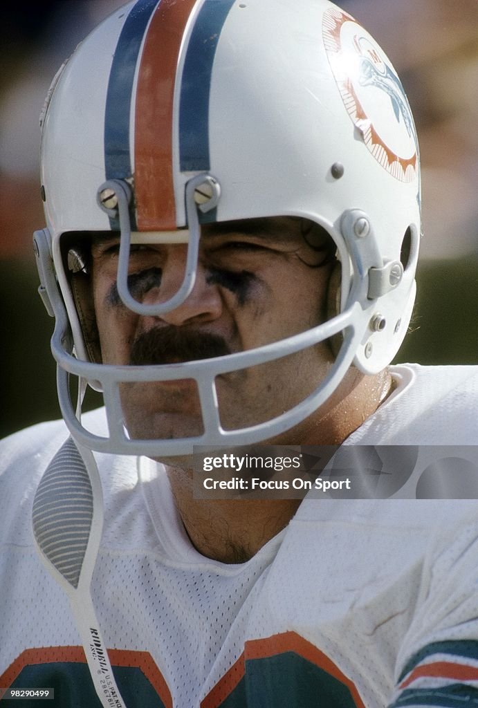 Miami Dolphins