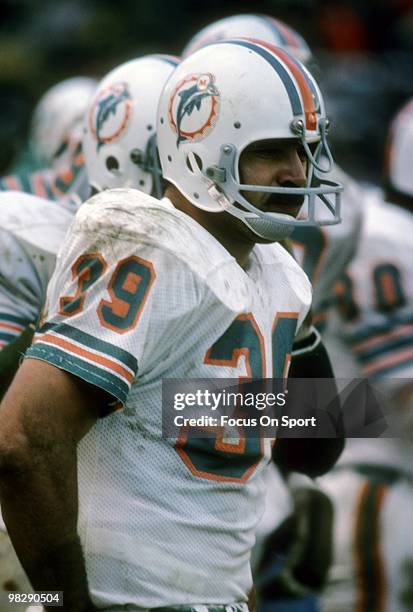 Running back Larry Csonka of the Miami Dolphins watches the action from the sidelines circa mid 1970's during an NFL football game. Csonka played for...