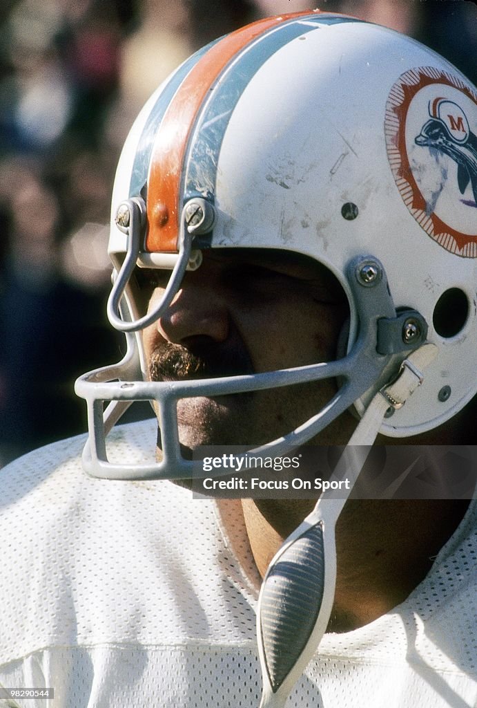 Miami Dolphins