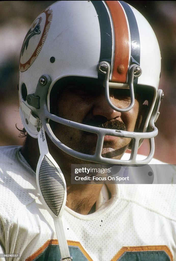Miami Dolphins