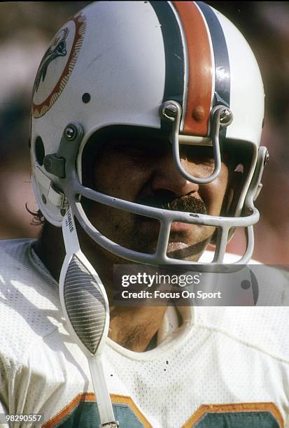 Running back Larry Csonka of the Miami Dolphins watches the action from the sidelines circa mid 1970's during an NFL football game. Csonka played for...