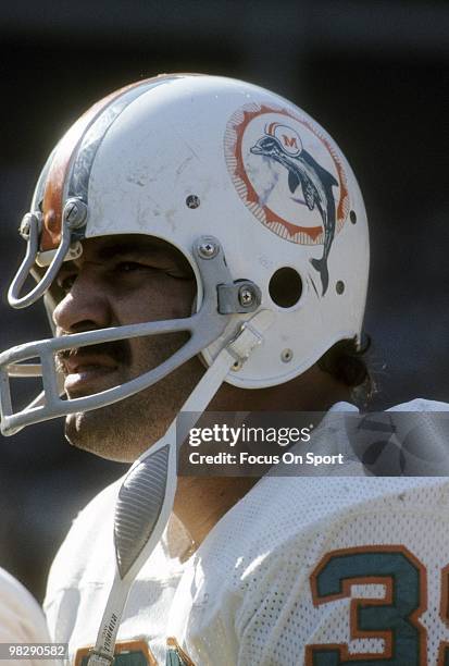 Running back Larry Csonka of the Miami Dolphins watches the action from the sidelines circa mid 1970's during an NFL football game. Csonka played for...