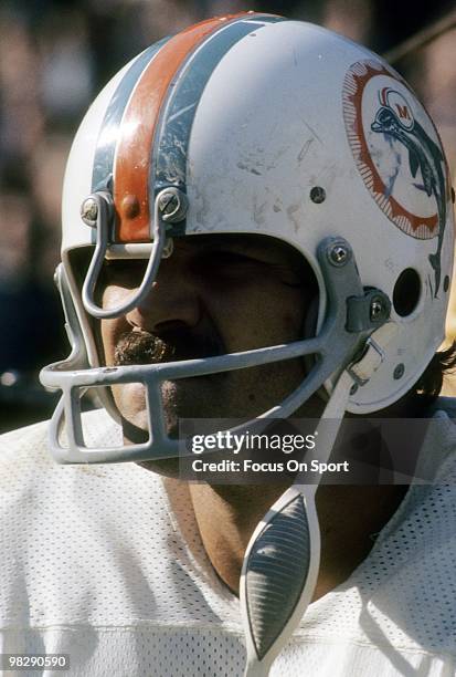 Running back Larry Csonka of the Miami Dolphins watches the action from the sidelines circa mid 1970's during an NFL football game. Csonka played for...