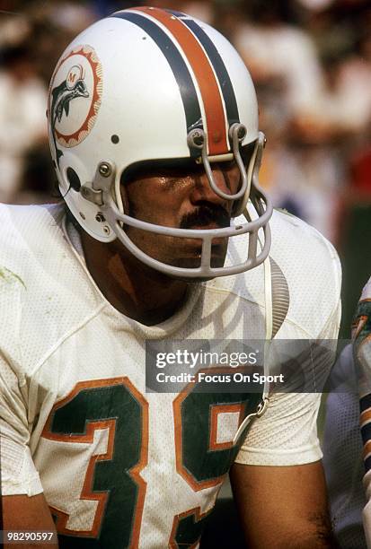 Running back Larry Csonka of the Miami Dolphins watches the action from the sidelines circa mid 1970's during an NFL football game. Csonka played for...